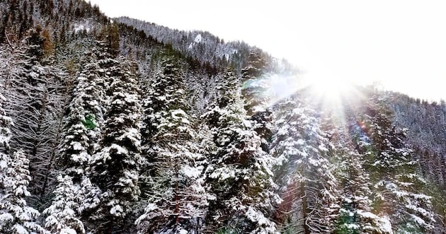 ਯੂਐਸ ਫੋਰੈਸਟ ਸੇਵਾ ਸਿਰਲੇਖ ਥਾਂ ਸਾਲਟ ਲੇਕ ਸਿਟੀ ਵੱਲ ਸਥਾਨਕ ਕਰੇਗਾ