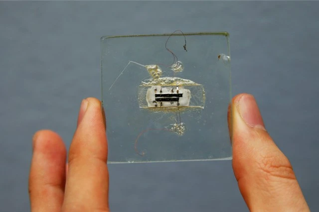 ਪੈਨਸਿਲਵੇਨੀਆ 'ਚ ਕਰਮਚਾਰੀ ਮਾਈਕ੍ਰੋਚਿਪ ਲਗਾਉਣ 'ਤੇ ਪਾਬੰਦੀ ਦਾ ਕਾਨੂੰਨ