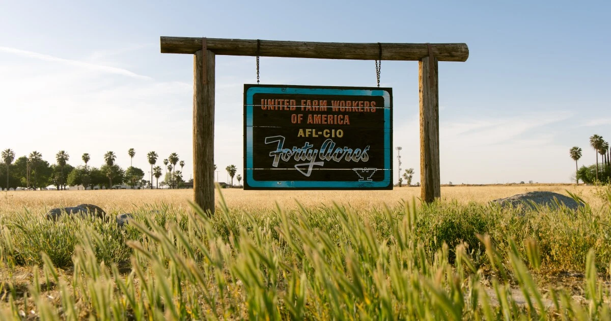 ਡੇਲਾਨੋ 'ਚ ਚੇਵੇਜ਼ ਤੇ ਉਲਟ ਪੁਲਟ ਦਾਵੇ, ਨਵੇਂ ਨੇਤਾ ਚਰਚਾਵਾਂ 'ਚ