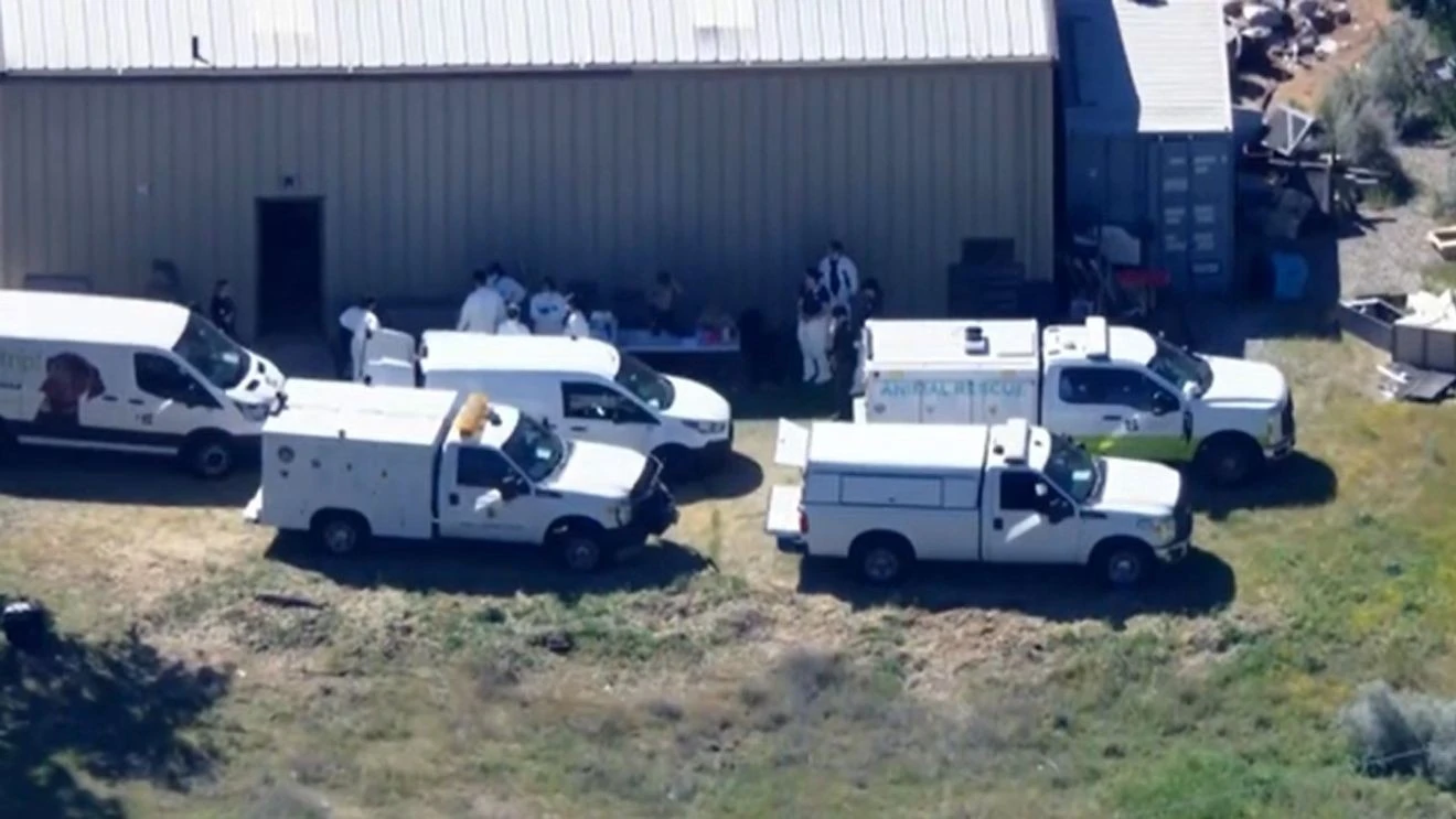 ਲੇਕ ਹਿਊਜ਼ ਵਿੱਚ 700 ਕੁੱਤੇ-ਬਿੱਲੀਆਂ ਬਚਾਈਆਂ, ਅਮਰੀਕਾ ਦੀ ਸਭ ਤੋਂ ਵੱਡੀ ਮਾਮਲਾ ਸੰਭਵ