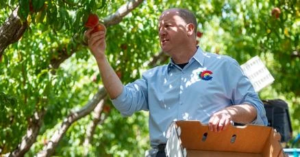 ਕਲੋਲੋਰੇਡੋ ਦੇ ਨਕਲੀ ਫਲਾਂ ਖਿਲਾਫ਼ ਕਾਨੂੰਨ ਬਣਿਆ