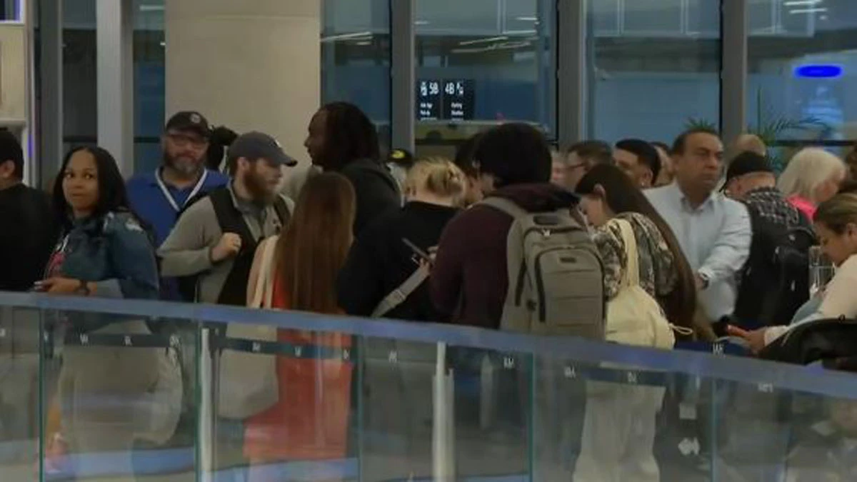 ਸ਼ਟਡਾਊਨ ਦੌਰਾਨ ਏਅਰਪੋਰਟ ਸੁਰੱਖਿਆ 'ਚ ਆਈਸੀਆਂ ਦੀ ਸਹਾਇਤਾ ਸ਼ੁਰੂ