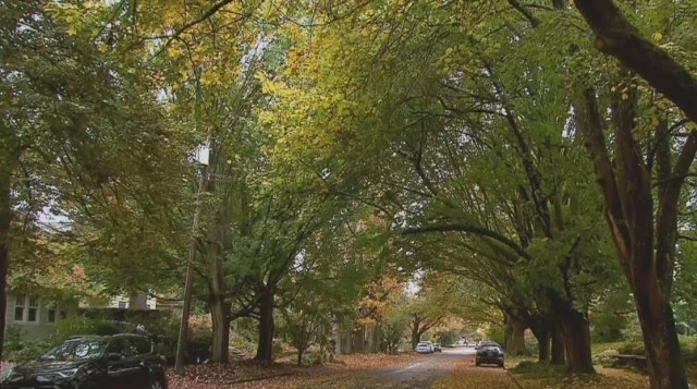 ਪੋਰਟਲੈਂਡ ਦਾ ਨੋਰਥਵੇਸਟ ਜ਼ਿਲ੍ਹਾ ਓਰੇਗਨ ਦਾ ਸਭ ਤੋਂ ਵਧੀਆ ਰਹਿਣ ਲਾਇਕ ਇਲਾਕਾ