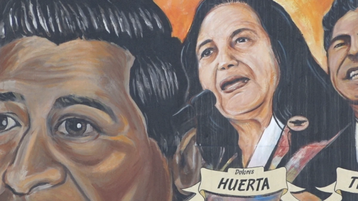 ਸੈਨ ਡੀਏਗੋ 'ਚ ਚੇਜ਼ਰ ਚਾਵੇਜ਼ ਉੱਤੇ ਇਜ਼ਜ਼ਤ ਨੂੰ ਚੁਣੌਤੀ ਦੇਣ ਵਾਲੀਆਂ ਸਾਕਸ਼ਤਾਂ