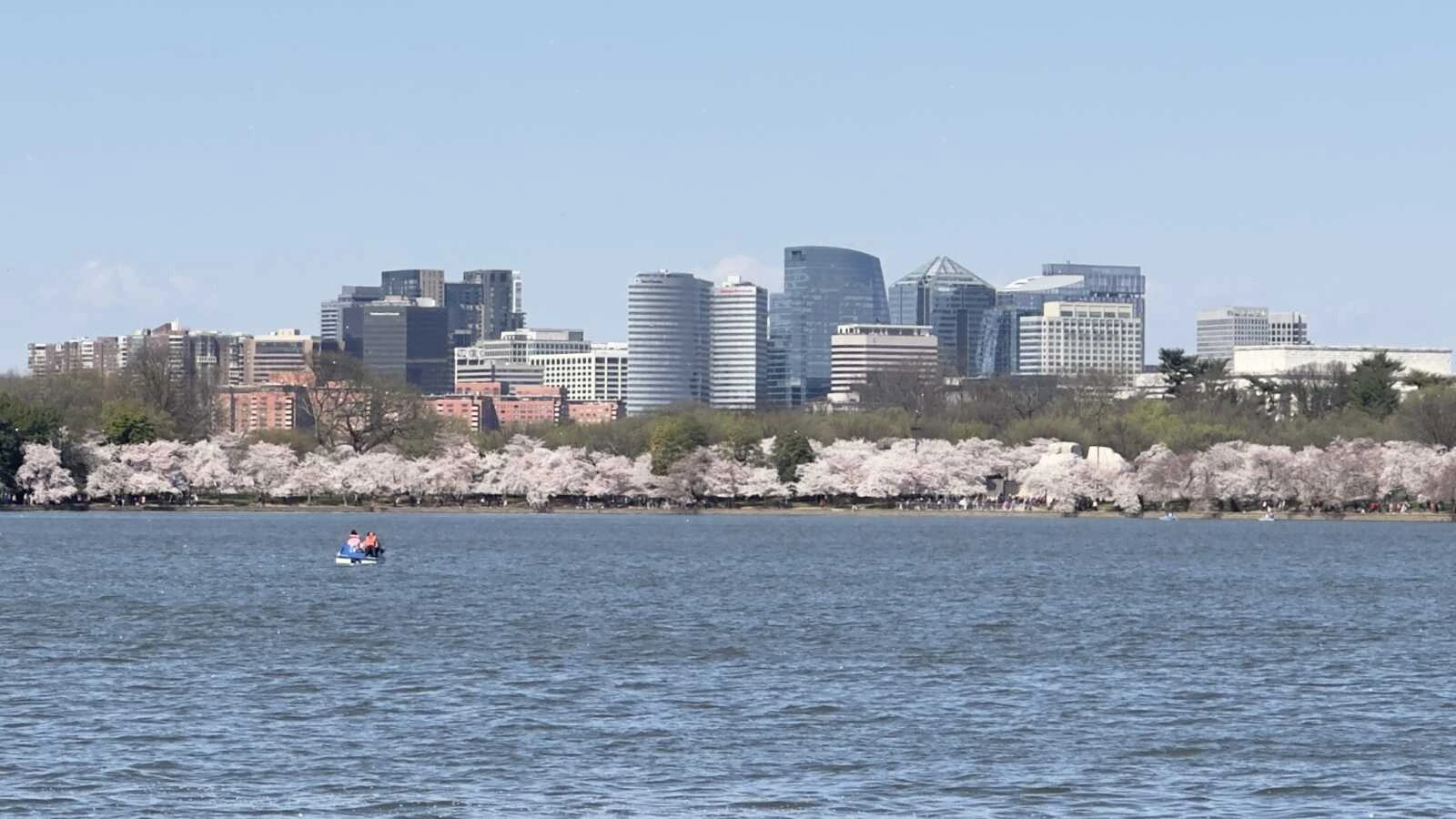 ਆਰਲਿੰਗਟਨ ਚਾਰਵਾਂ ਵਾਰੀ ਅਮਰੀਕਾ ਦੀ ਸਭ ਤੋਂ ਵਧੀਆ ਸ਼ਹਿਰ ਰੈਂਕਿੰਗ ਵਿਚ