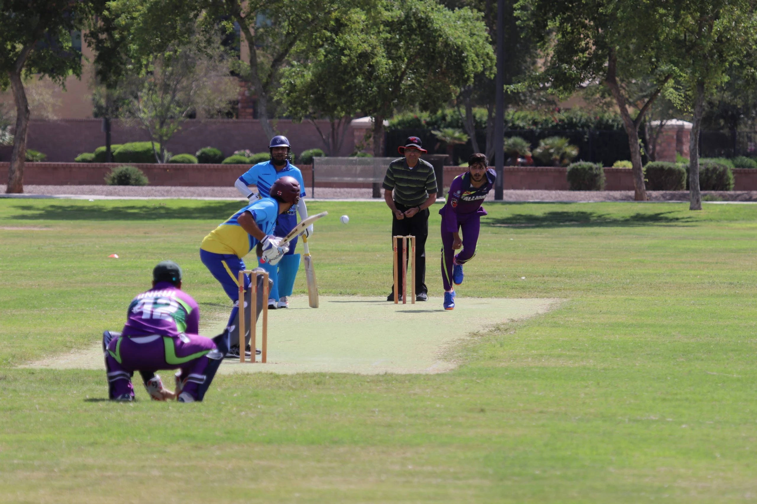 ਅਰਿਜ਼ੋਨਾ ਵਿੱਚ ਕਰਿਕਟ ਦਾ ਵੱਧਦਾ ਢਾਂਚਾ