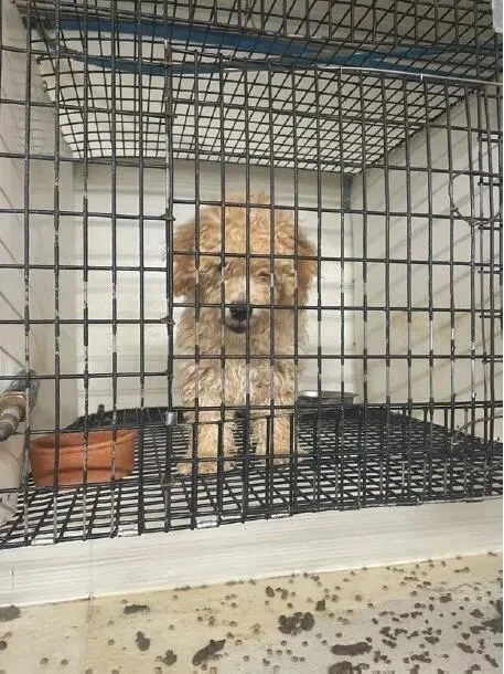 ਮਿਸੂਰੀ ਫਿਰ ਸਿਰੇ 'ਹੌਰਿਬਲ ਹੰਡਰੇਡ' ਸੂਚੀ 'ਚ ਅੱਗੇ