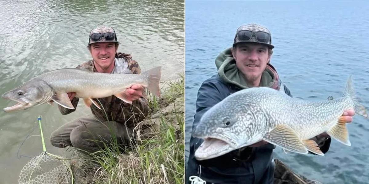 ਸ਼ਾਵਾਨੋ ਪਹਾੜ ’ਤੇ ਗੁੰਮਸ਼ੁਦਾ ਸ਼ਿਕਾਰੀ ਦੀ ਖੋਜ ਜਾਰੀ