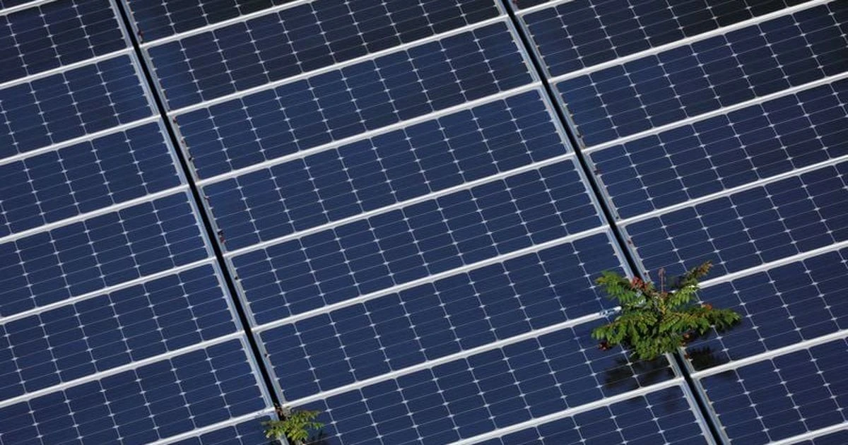 ਅਮਰੀਕਾ ’ਚ ਅਦਾਲਤ ਨੇ ਟਰੰਪ ਸਰਕਾਰ ਦੀ ਵਿੰਡ ਤੇ ਸੂਰਜੀ ਯੋਜਨਾਵਾਂ ਰੋਕਣ ਤੋਂ ਰੋਕ ਲਾਈ