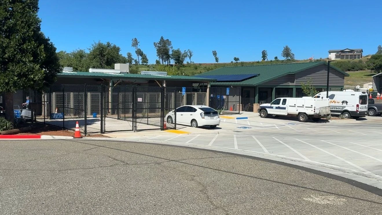 ਪੈਰਾਡਾਈਸ ਜਾਨਵਰ ਸ਼ੈਲਟਰ ਨੇ ਨਵਾਂ ਕੇਂਦਰ ਖੋਲਿਆ