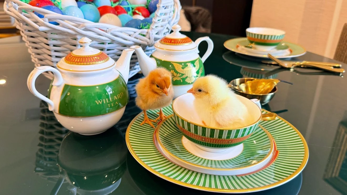 ਵਾਈਟ ਹਾਊਸ ਵਿੱਚ ਪਹਿਲੀ ਵਾਰੀ 150 ਨੰਨੇ ਚਿੱਕ ਆਏਗੇ ਸ਼ਾਮਲ