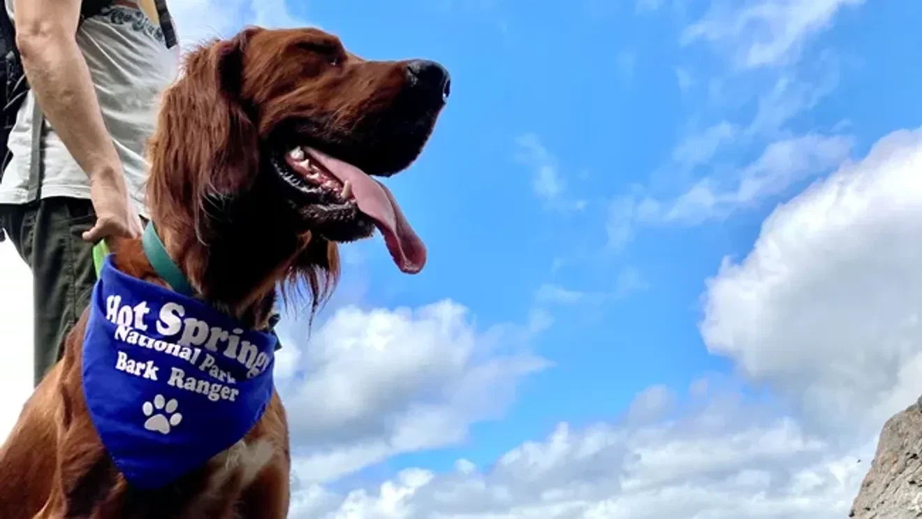 ਮੁਫ਼ਤ ਤੇ ਕੁੱਤੇ-ਮਿੱਤਰ ਨੇਸ਼ਨਲ ਪਾਰਕਸ ਨਾਲ ਸਸਤੇ ਸਪ੍ਰਿੰਗ ਐਡਵੇਂਚਰ