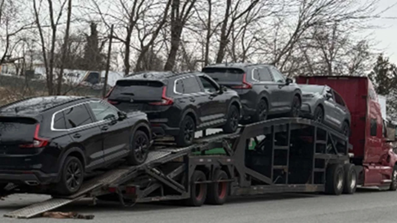 ਡੀਸੀ 'ਚ ਅੰਤਰਰਾਸ਼ਟਰੀ ਗੱਡੀ ਚੋਰੀ ਗਿਰੋਹ ਦੇ 6 ਬੁਰੇੀ ਕਾਰਵਾਈ 'ਚ ਫੜੇ ਗਏ