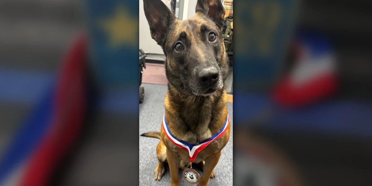 ਵਿੱਚੀਟਾ ਫਾਲਜ਼ ਪੁਲਸ ਦੇ ਕੇ9 ਨੂੰ ਨਸ਼ਿਆਂ ਦੀ ਖੋਜ 'ਚ ਮੈਡਲ ਮਿਲਿਆ