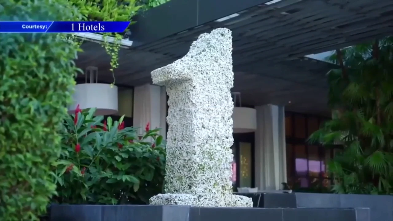 ਮਿਆਮੀ ਬੀਚ ਦੇ ਹੋਟਲ 2026 ਫੀਫਾ ਵਿਸ਼ਵਕੱਪ ਲਈ ਵਿਸ਼ੇਸ਼ ਪੈਕੇਜ ਲੈ ਕੇ ਆਏ