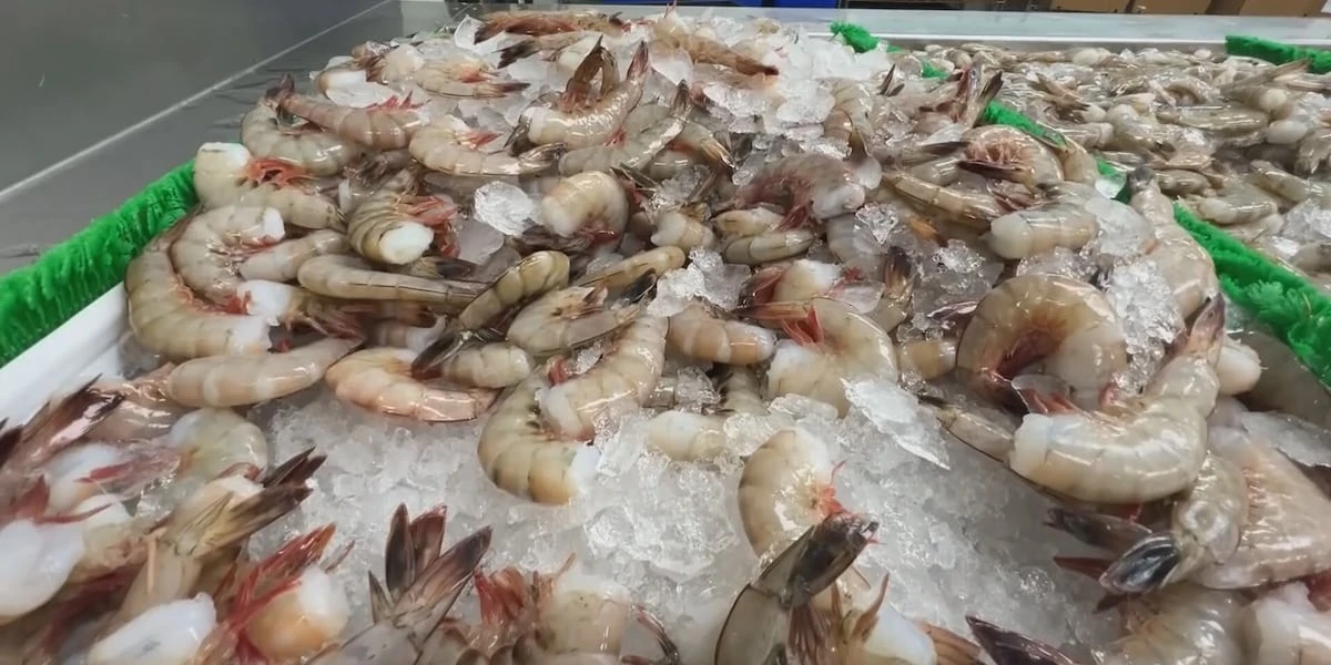 ਗਲਫ ਕੋਸਟ ਮਛੇਰਿਆਂ ਨੂੰ ਨਵੀਂ ਸਰਕਾਰੀ ਸਹਾਇਤਾ ਮਿਲੇਗੀ