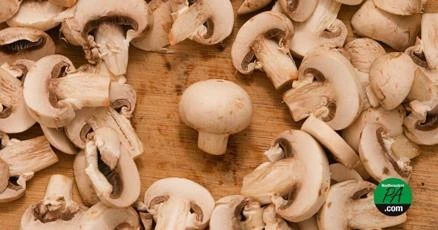 ਪੈਨਸਿਲਵੇਨੀਆ ਦੇ ਕਿਸਾਨਾਂ ਲਈ ਰਾਸ਼ਟਰੀ ਮਸ਼ਰੂਮ ਦਿਵਸ ਮਨਾਇਆ ਗਿਆ