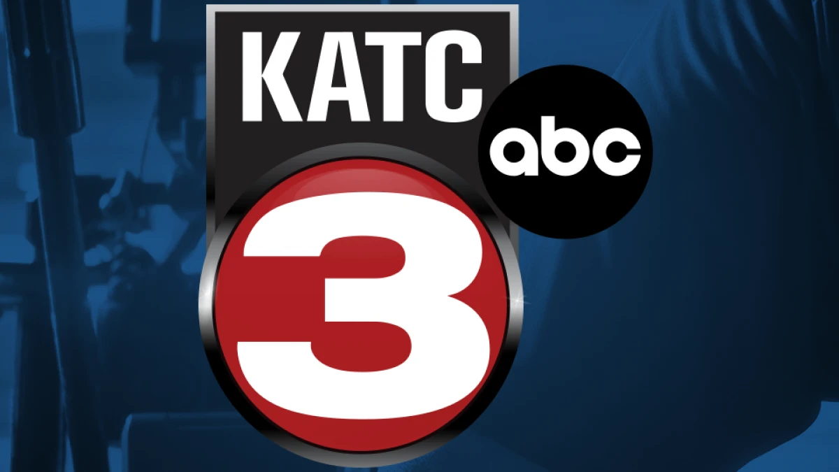 ਵਰਮਿਲੀਅਨ ਸਲਾਹਕਾਰ ਕੌਂਸਿਲ ਦਾ ਬਾਰਬੀਕਿਊ ਫੰਡਰੇਜ਼ਰ ਐਤਵਾਰ ਨੂੰ