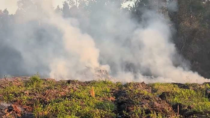 ਫਲੋਰੀਡਾ ਚ ਵੱਡਾ ਅੱਗ ਦਾ ਤਬਾਹਕੰਨ, 3000 ਏਕੜ ਫੈਲਾ ਅੱਗ