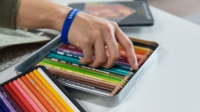 ਬਿਸਮਾਰਕ ਨੇ ਕਲਾ ਰਾਹ 'ਤੇ ਸਥਾਨਕ ਕਲਾਕਾਰਾਂ ਨੂੰ ਸੱਦਾ ਦਿੱਤਾ