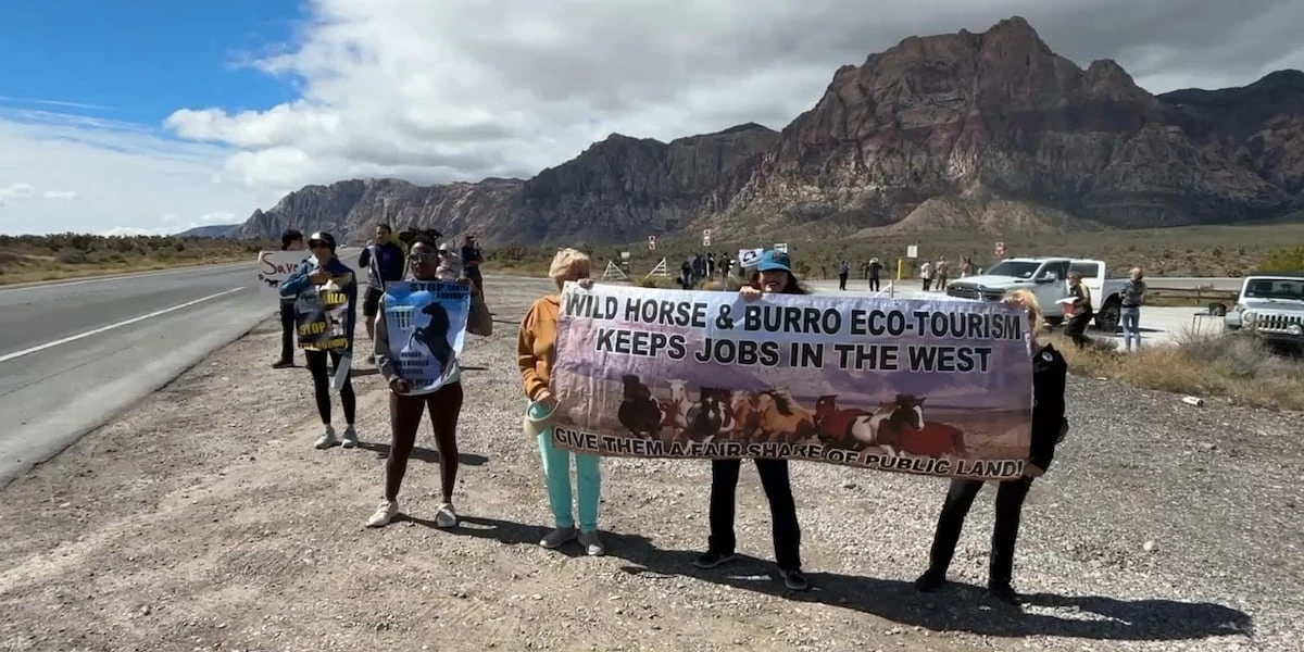 ਰੇਡ ਰਾਕ ਕੋਲ ਜੰਗਲੀ ਘੋੜਿਆਂ ਦੀ ਫੜਤ ਹੋਰਾਇਜ਼ਮ ਖਿਲਾਫ ਰੈਲੀ