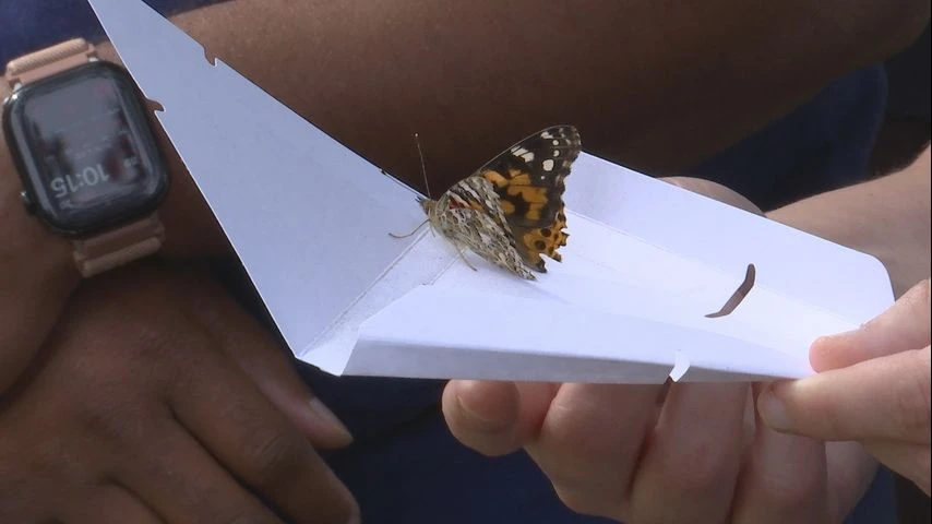 ਲੂਈਜ਼ਿਆਨਾ ਅੰਗ ਦਾਤਿਆਂ ਦੀ ਸન્મਾਨ ਸਬੰਧੀ ਤਿਤਲੀ ਰਿਹਾਈ