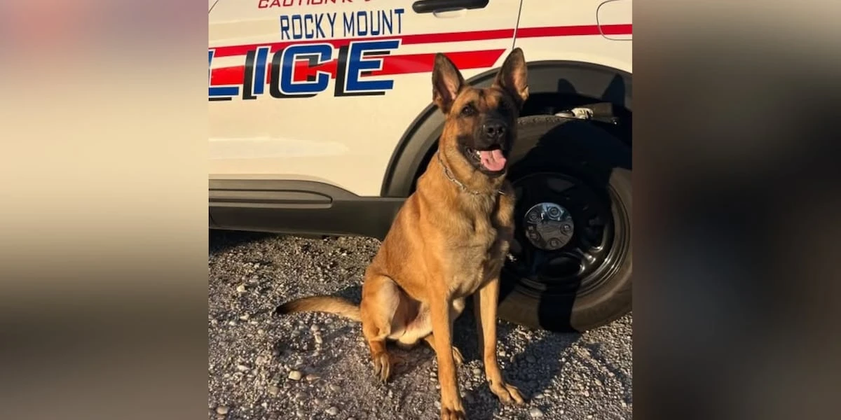 ਰੌਕੀ ਮਾਊਂਟ ਦਾ ਕੂਤਾ ਬੂਨ ਟ੍ਰੇਨਿੰਗ ਦੌਰਾਨ ਬੀਮਾਰੀ ਨਾਲ ਮਰ ਗਿਆ