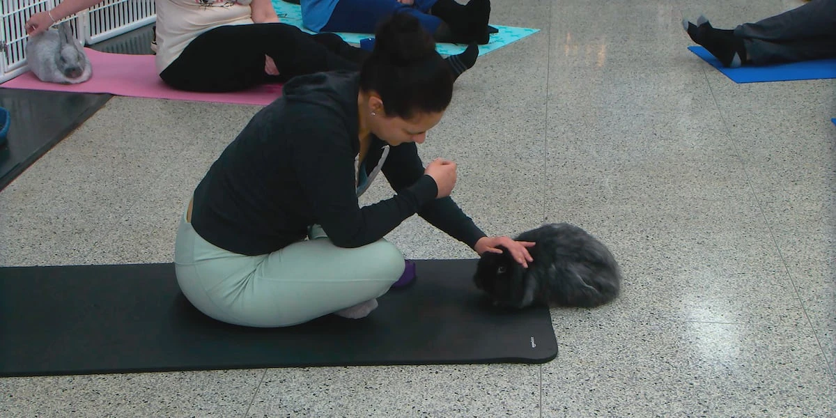 ਬਨੀ ਯੋਗਾ ਨਾਲ ਪਸ਼ੂਆਂ ਲਈ ਚੰਦ ਇਕੱਠਾ