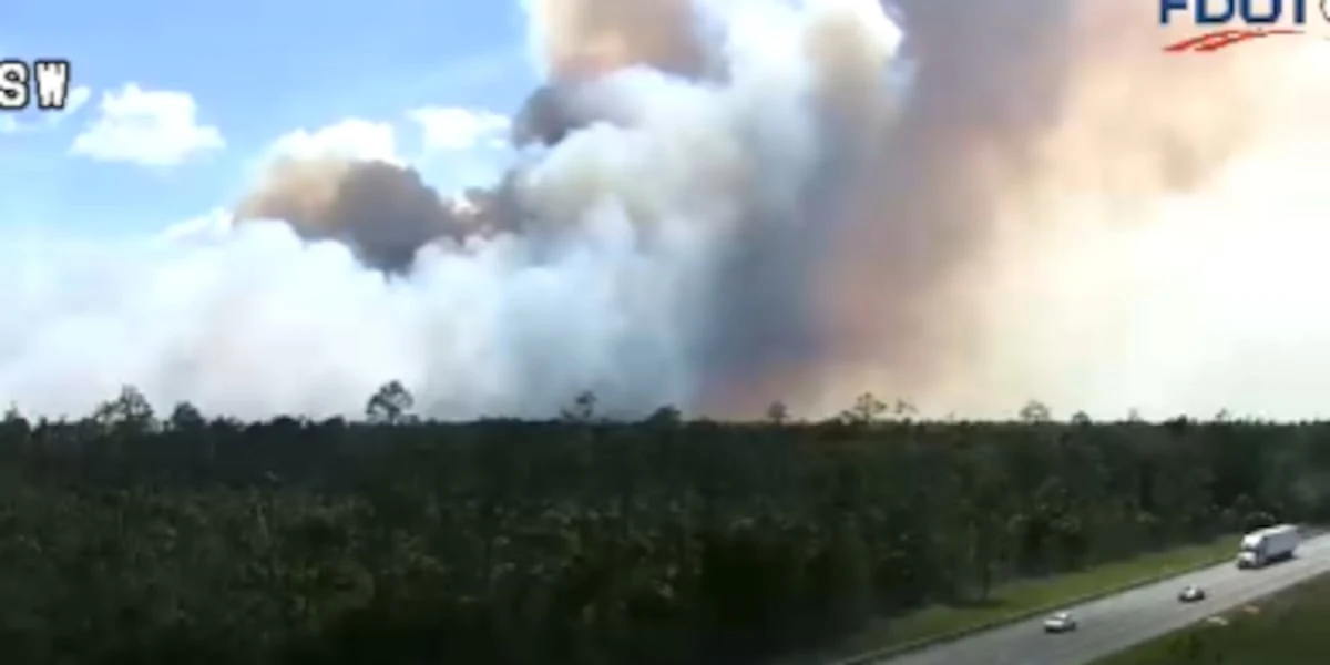 ਕੋਲਿਅਰ ਕਾਉਂਟੀ ਵਿੱਚ ਜੰਗਲੀ ਅੱਗ 550 ਏਕੜ ਤੇ ਫੈਲ ਗਈ