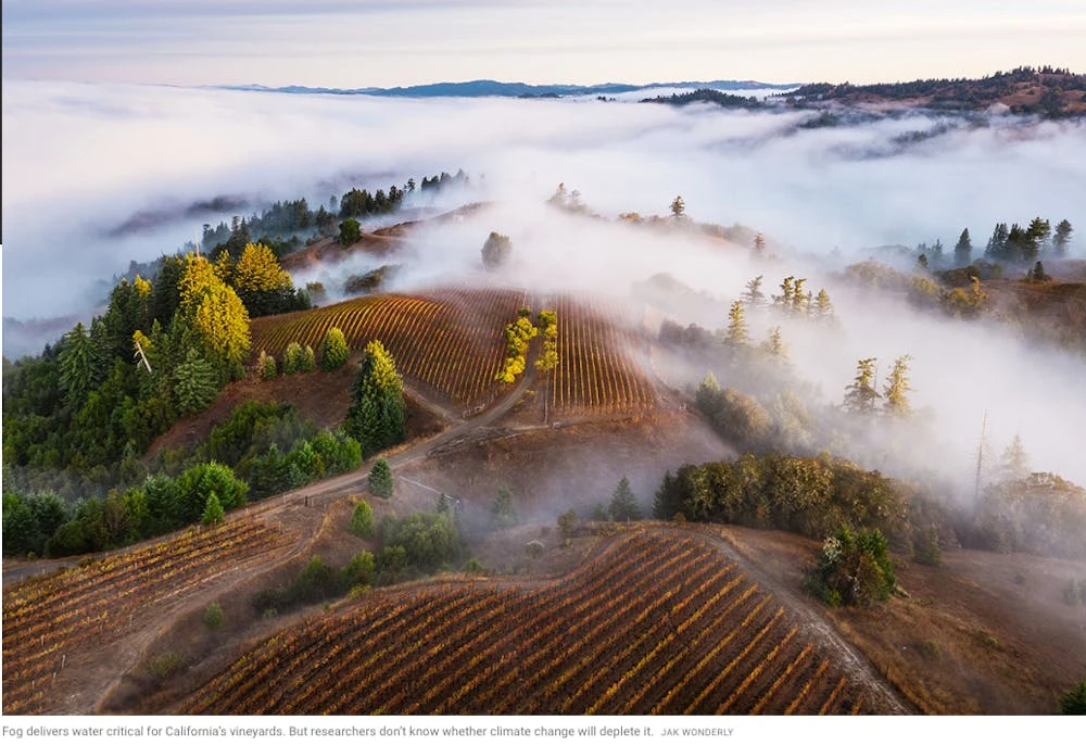 ਕੈਲੀਫੋਰਨੀਆਂ ਵਿੱਚ ਧੁੱਪ ਦਾ ਮਹੱਤਵ ਅਤੇ ਖੋਜ