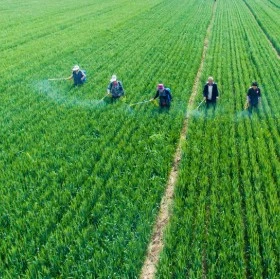 ਅਮਰੀਕਾ ਨੇ ਚੀਨ ਨਾਲ ਜੁੜੇ ਗੈਰਕਾਨੂੰਨੀ ਕੀਟ ਨਾਸ਼ਕਾਂ ਦੀ ਆਮਦ ਰੋਕਣੀ ਸ਼ੁਰੂ